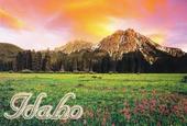 Idaho Graphic Design Schools