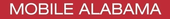Video Game Designer in Mobile, Alabama