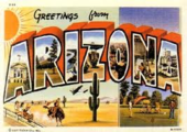 How to become an animator in Arizona