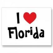 List of Florida Schools with game art, game design and game development degree P
