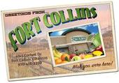 How to become an illustrator in Fort Collins, Colorado