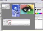 Web Animation
