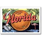 Video Game Designer in Florida