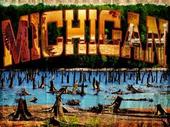 Video Game Designer in Michigan