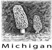 Illustration Schools in Michigan
