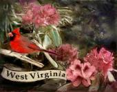 West Virginia