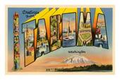 Graphic Designer in Tacoma, Washington