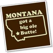 Montana Schools with Animation, Design, and Gaming Programs