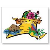 New York Animation Schools: Most to Least Expensive