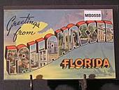 Graphic Designer in Tallahassee, Florida