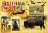 List of South Dakota schools with graphic design degree programs