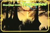 List of Tennessee schools with graphic design degree programs