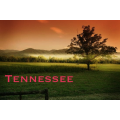 Tennessee