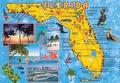 Arts Schools in Florida