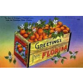List of Florida schools with animation degree programs