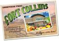How to become an animator in Fort Collins, Colorado