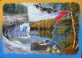 Minnesota