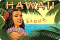 How to become an illustrator in Hawaii