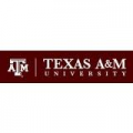 Texas A&M 