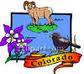 Video Game Designer in Colorado