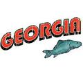 Art Schools in Georgia
