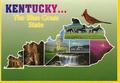 Video Game Designer in Kentucky
