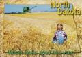 Video Game Designer in North Dakota