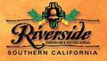 Video Game Designer in Riverside, California