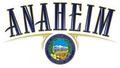 Video Game Designer in Anaheim, California