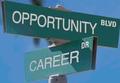 Animation Industry Jobs Forecast