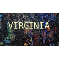 Virginia Art Schools