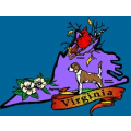 Viriginia New Media