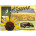 List of Kansas schools with graphic design degree programs