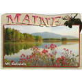 List of articles profiling Maine schools with animation, design, and gaming prog