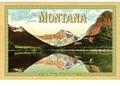 Video Game Designer in Montana