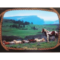 List of Montana schools with graphic design degree programs
