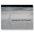 List of New Hampshire schools with graphic design degree programs
