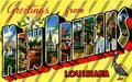 How to become a mobile app developer in New Orleans, Louisiana
