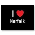 How to become an illustrator in Norfolk, Virginia