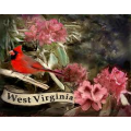  West Virginia