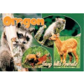 List of Oregon schools with animation degree programs