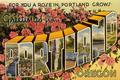 How to become an animator in Portland, Oregon