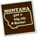 Montana Schools with Animation, Design, and Gaming Programs