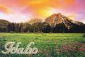 Idaho Graphic Design Schools