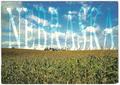 Nebraska Graphic Design Schools