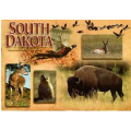 South Dakota