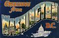 Graphic Designer in Washington DC