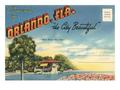 Graphic Designer in Orlando, Florida