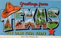 How to Become a Graphic Designer in Texas