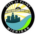 Video Game Designer in Flint, Michigan